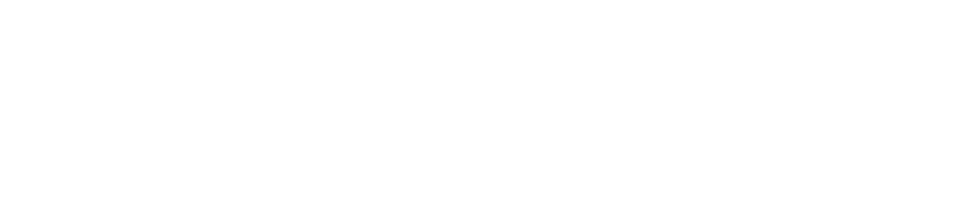 securifort white